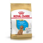 Royal-Canin-Perro-Caniche-Cachorro-x-3-kg