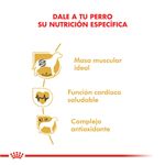 Royal-Canin-Perro-Boxer-Adulto-x-12-kg