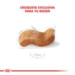 Royal-Canin-Perro-Boxer-Adulto-x-12-kg