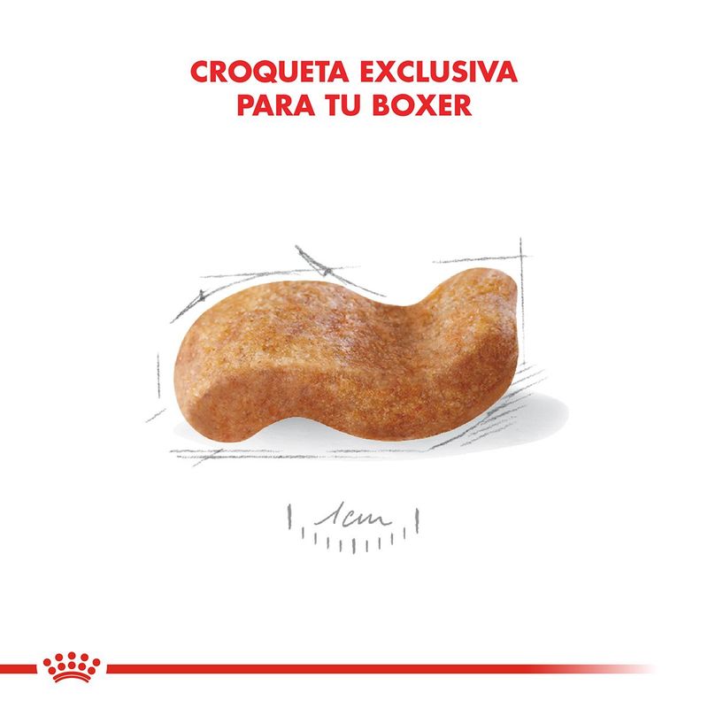 Royal-Canin-Perro-Boxer-Adulto-x-12-kg