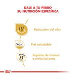 Royal-Canin-Perro-Bulldog-Adulto-x-12-kg