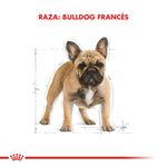 Royal-Canin-Perro-Bulldog-Frances-Adulto-x-3-kg
