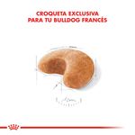 Royal-Canin-Perro-Bulldog-Frances-Adulto-x-75-kg