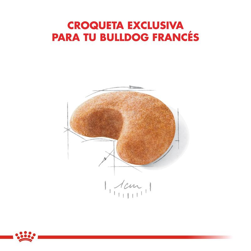 Royal-Canin-Perro-Bulldog-Frances-Adulto-x-75-kg