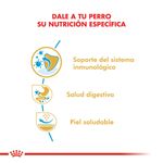 Royal-Canin-Perro-Bulldog-Frances-Cachorro-x-3-kg