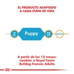 Royal-Canin-Perro-Bulldog-Frances-Cachorro-x-3-kg