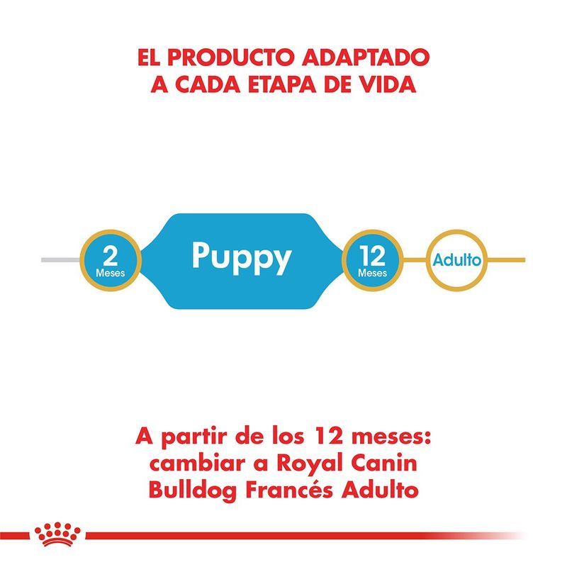 Royal-Canin-Perro-Bulldog-Frances-Cachorro-x-3-kg