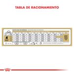 Royal-Canin-Perro-Bulldog-Frances-Cachorro-x-3-kg