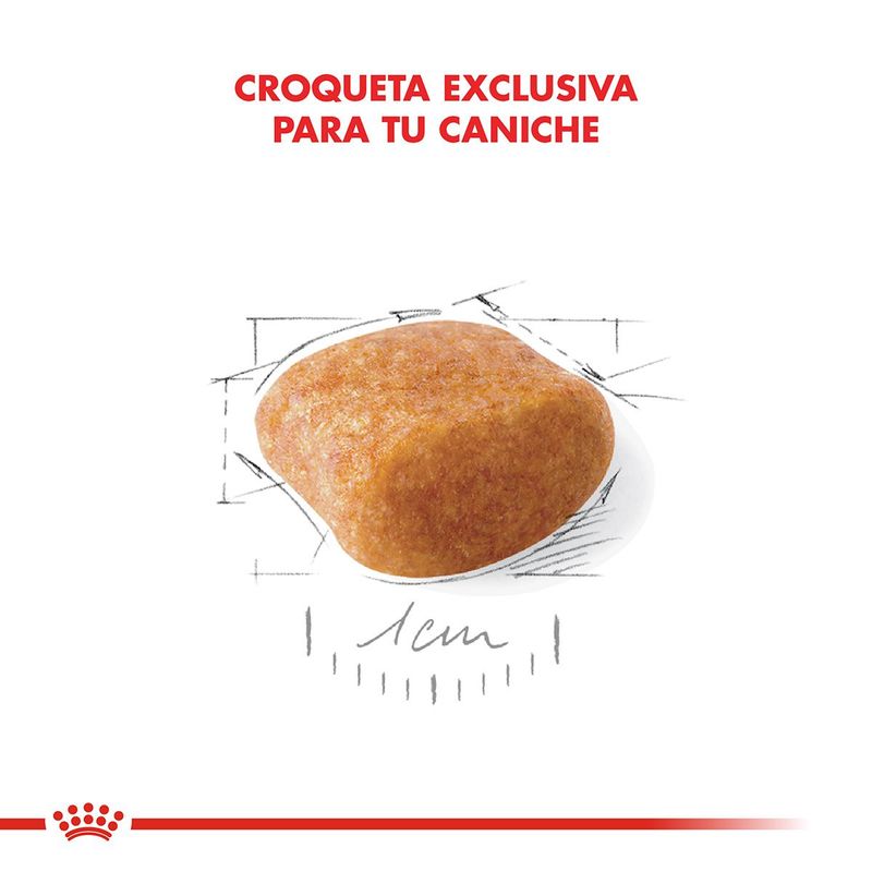 Royal-Canin-Perro-Caniche-Adulto-x-1-kg