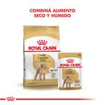 Royal-Canin-Perro-Caniche-Adulto-x-1-kg
