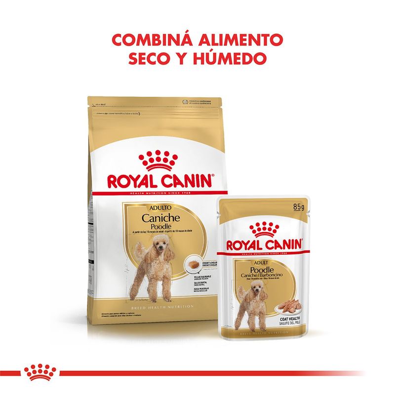 Royal-Canin-Perro-Caniche-Adulto-x-1-kg