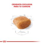 Royal-Canin-Perro-Caniche-Adulto-x-3-kg