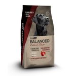 Vitalcan-Balanced-Perro-Adulto-Natural-Recipe-Carne-x-15-kg