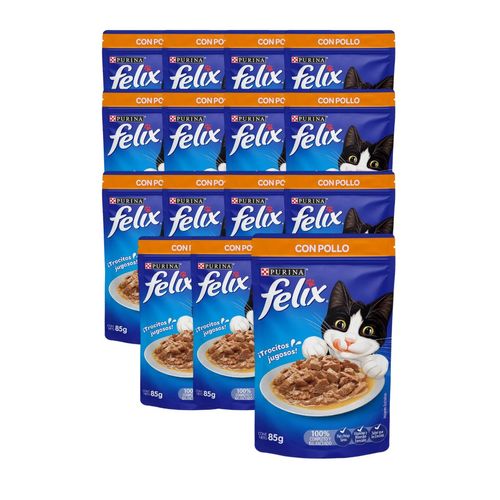 Felix Gato con Pollo Pack de 15 Pouch x 85 gr