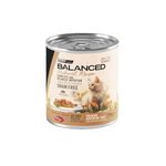 vitalcan-balanced-natural-recipe-delicados-filetes-gato-adulto-carne-lata-x-340-gr-01