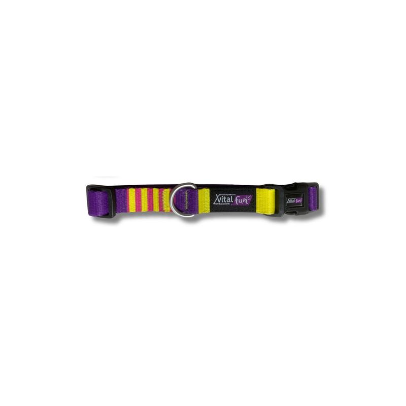 collar-pop-art-talle-xs-s-para-perros-vital-fun-01