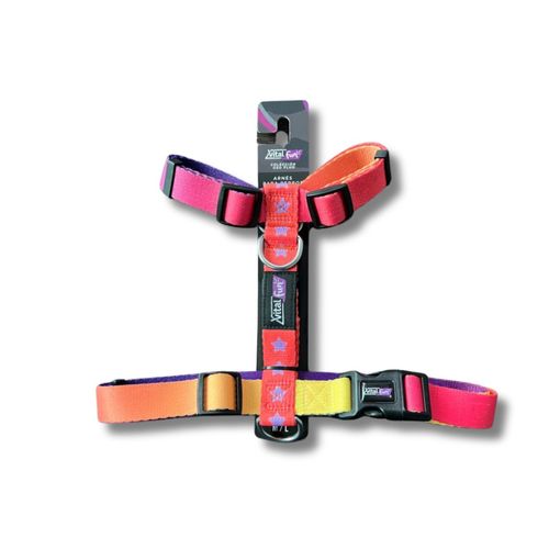 Arnes H Geo Fluo Talle XXS/XS para perros Vital Fun