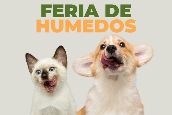 Feria de humedos