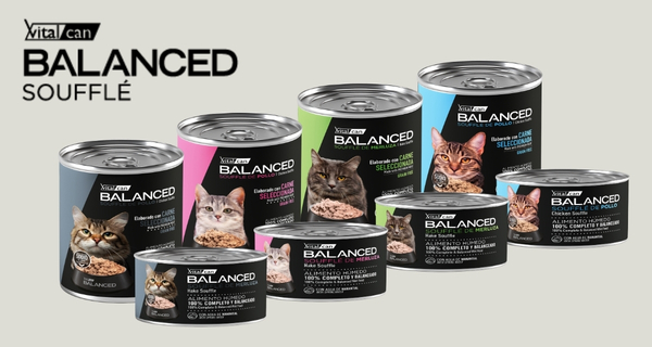 Vitalcan Balanced Souffle