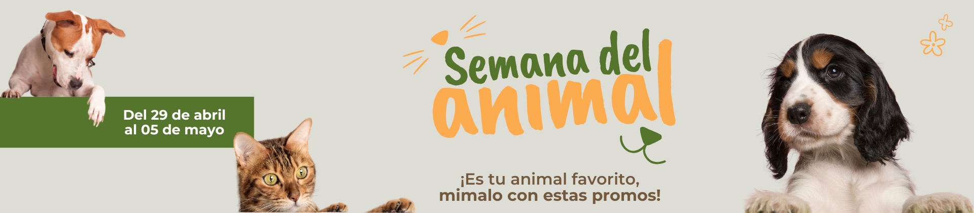 Semana-del-animal