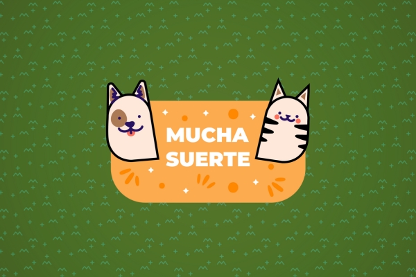 Concurso mi mejor amigo