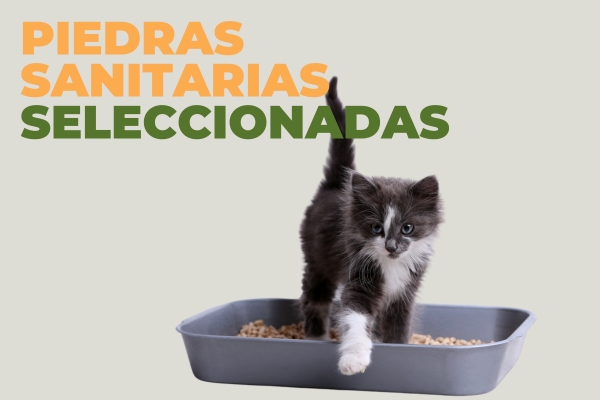 Piedras sanitarias