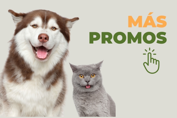 Promociones