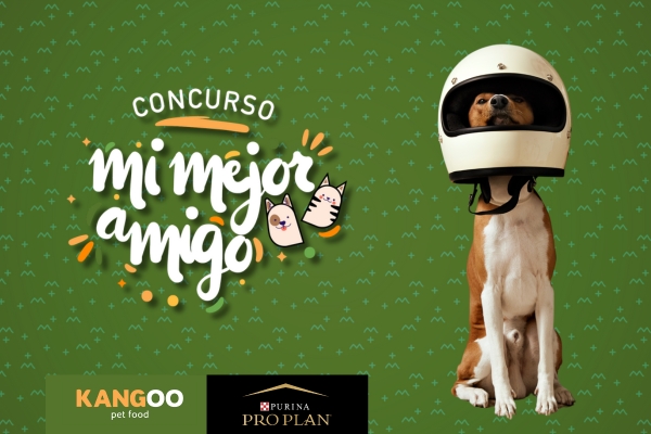 concurso mi mejor amigo