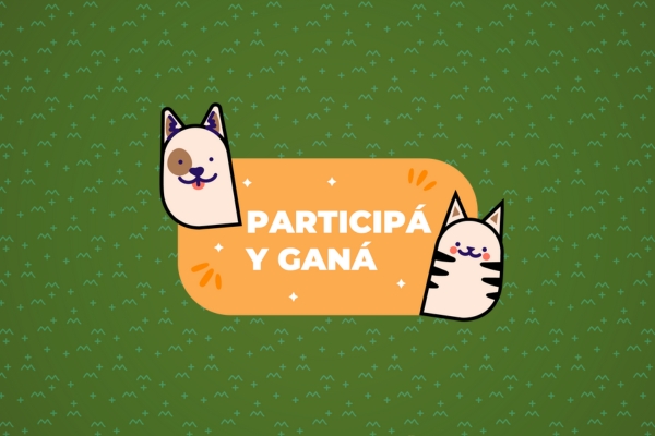 concurso mi mejor amigo