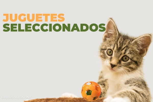 Juguetes