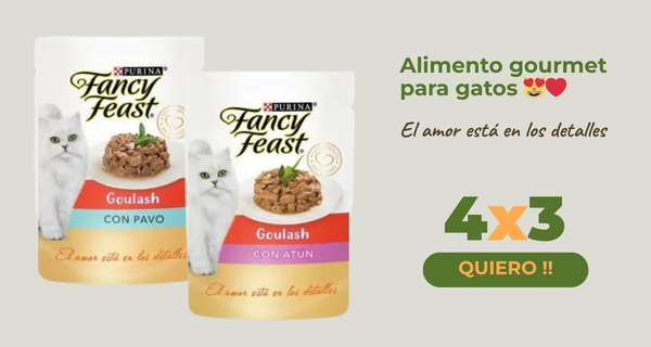 Fancy Feast 5x4