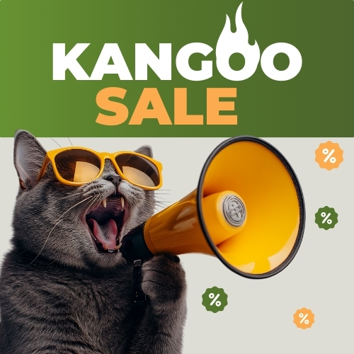 Kangoo sale