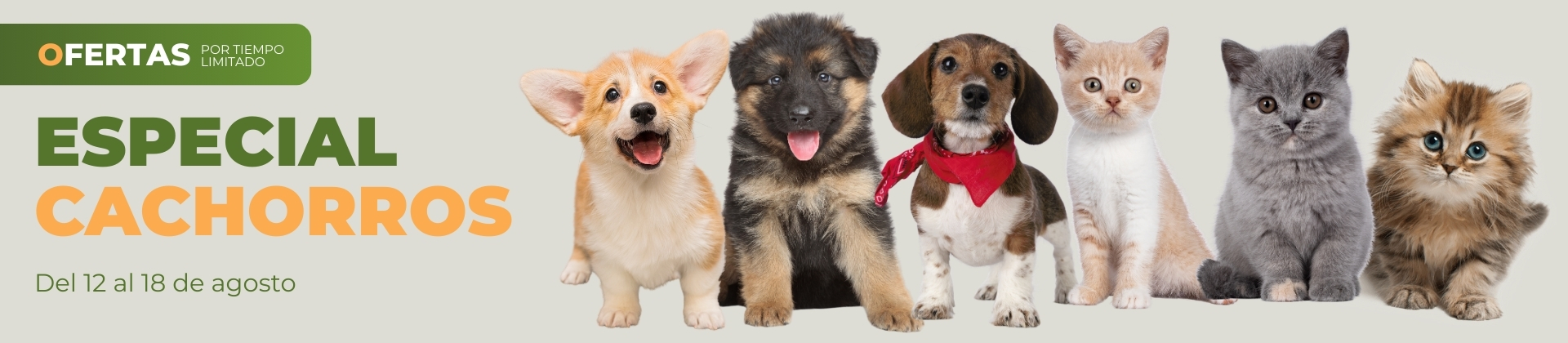 Epecial Cachorros