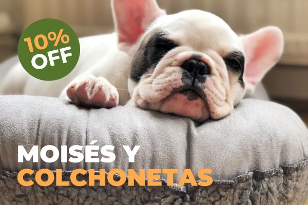 Colchonetas y moises  para perros con descuentos