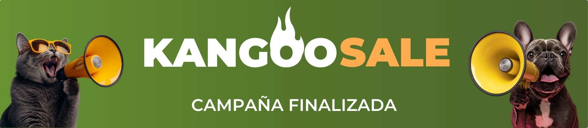 Kangoo sale