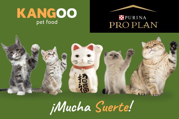 concurso mi mejor amigo