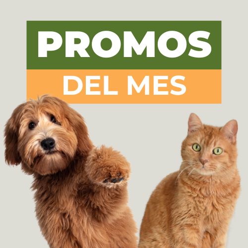 Promos del mes