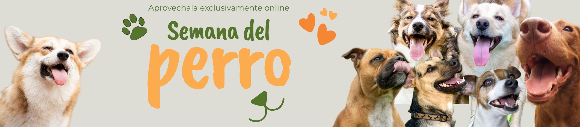 Semana del perro