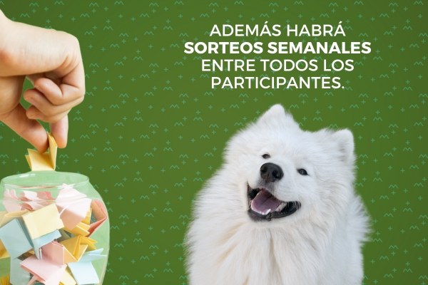 Concurso mi mejor amigo