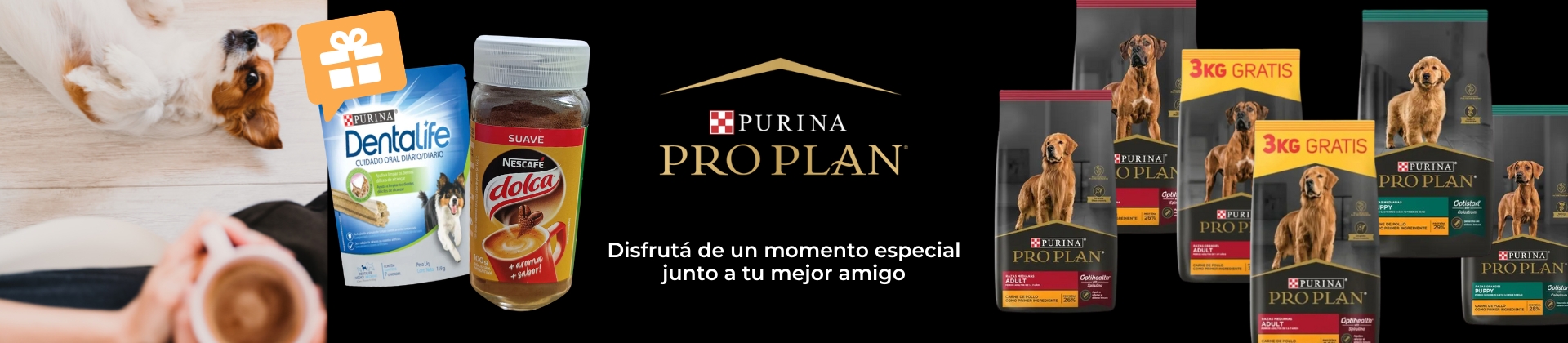Pro plan