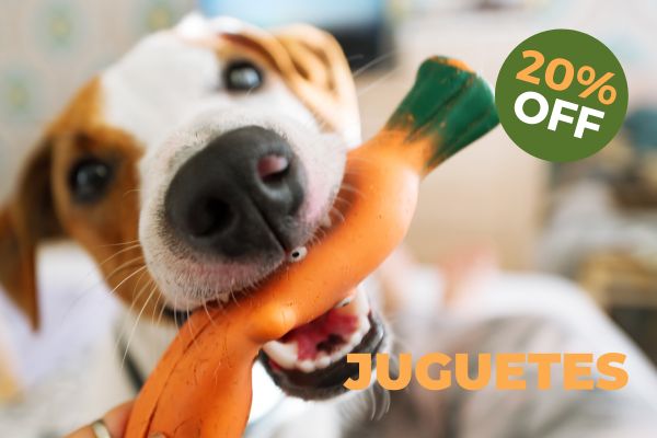 descuento en juguetes para perros