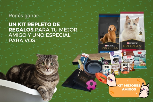 concurso mi mejor amigo