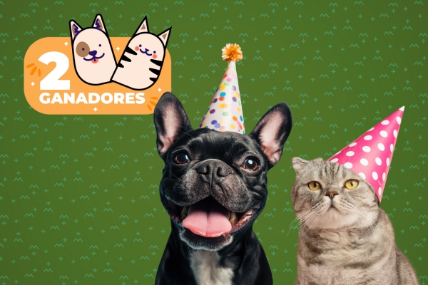 Concurso mi mejor amigo