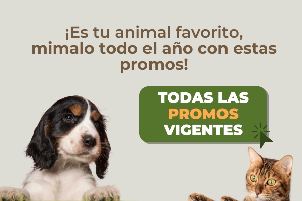 Todas las promos vigentes