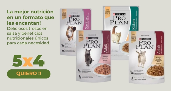 Pro Plan 5x4