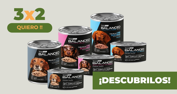 Vitalcan Souffle 3x2