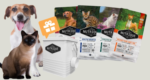 Nutrique promo