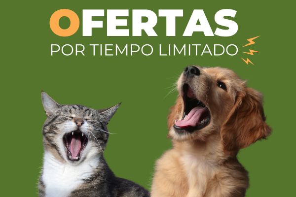 Ofertas por tiempo limtado